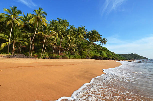 Goa Beach